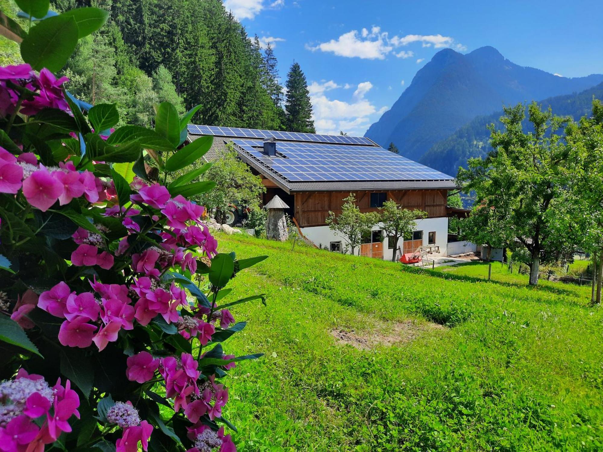 Klausmoarhof Villa Leisach Bagian luar foto