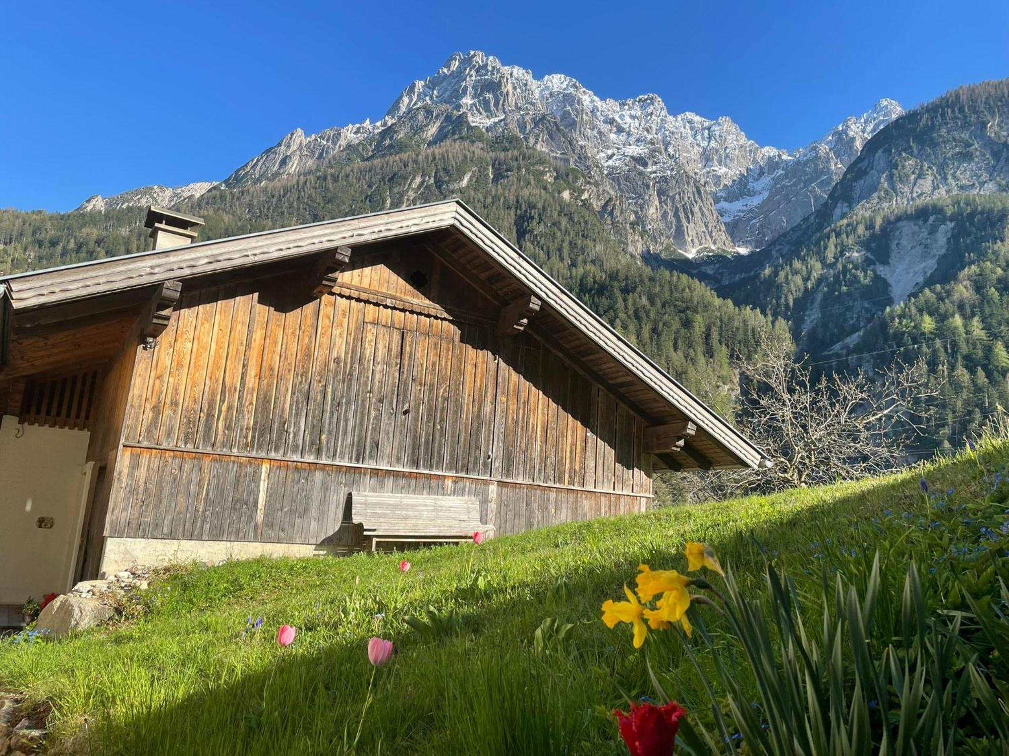 Klausmoarhof Villa Leisach Bagian luar foto
